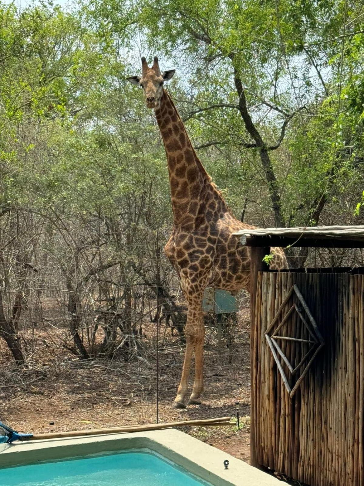 Kruger Maroela Apartment
